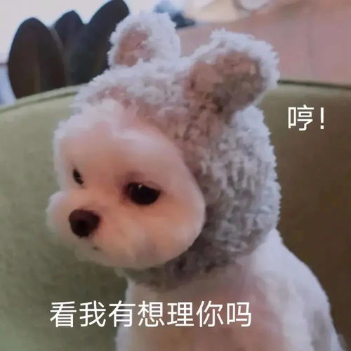 可爱的表情包,老弟有点搞笑