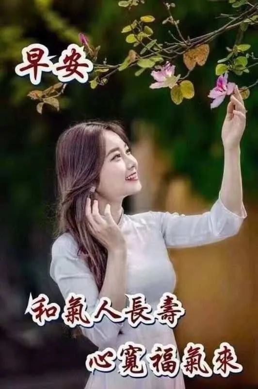 微信早上聊天不用打字的专用有趣表情包微信早上聊天打字动态图片