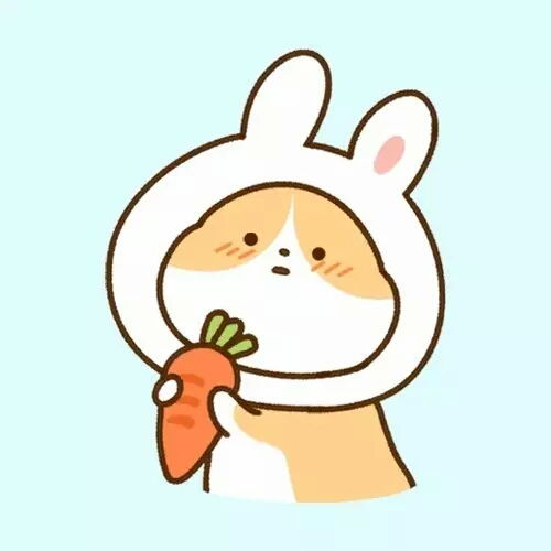资生堂智能气垫怎么辨别真假呀