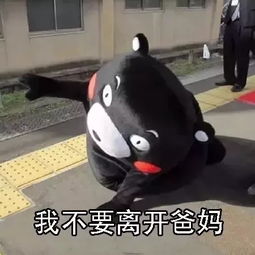 又下大雨了日照本周最低温度17