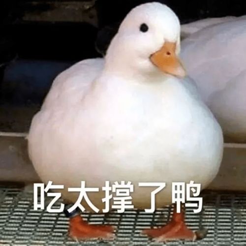 搞笑表情包
