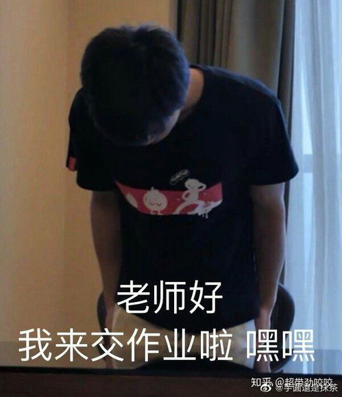 有没有什么关于交作业的表情包