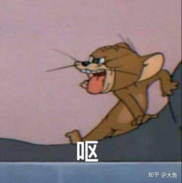 猫咪干饭人表情包