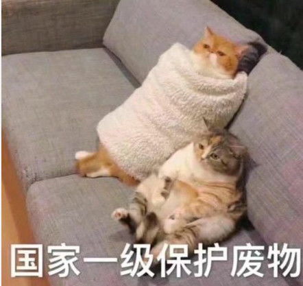 qq聊天专用的怼人表情好久没揍你,是不是皮痒了