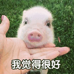 高考常胜将军是如何备考的