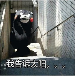 热热热热热六月,比阳光更炽热的是这里