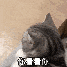 近期沙雕搞笑表情包