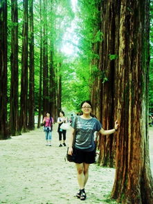重返南怡岛,一片南韩的异国风景2010.9.4
