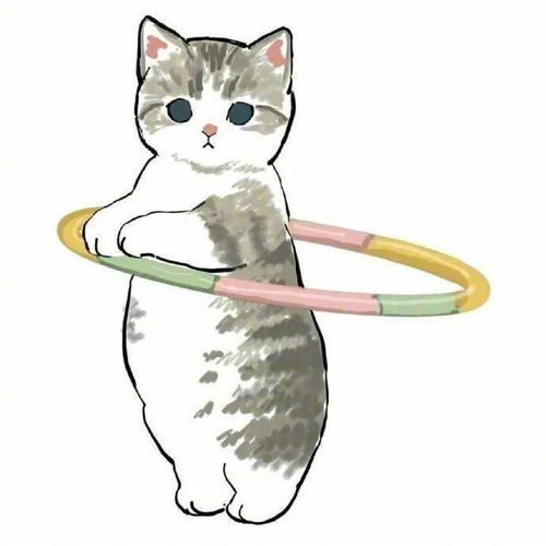 如果猫咪开始减肥的话