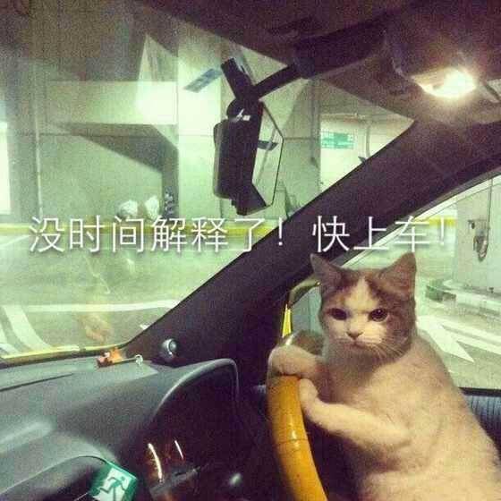 没时间解释了快上车