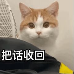 真没见过二次元是吧