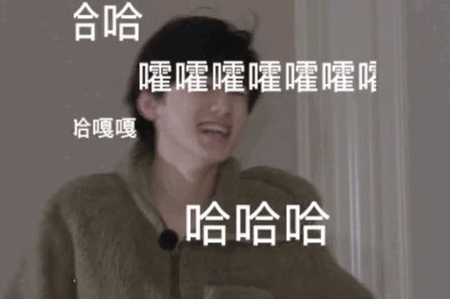 有没有宋亚轩动图表情包搞笑的可爱的