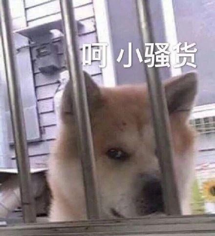 最新热门表情包动图片生气了,哄不好的那种