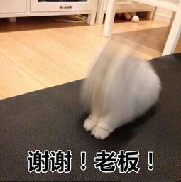 谢谢老板表情包2019最新版