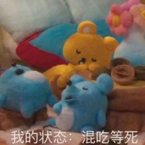 最新热门搞笑的表情包图片
