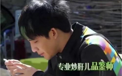 向往都播四季了,明星都夸黄磊做饭好吃,只有大张伟敢说真话