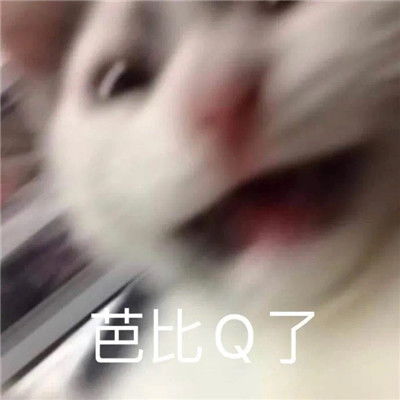2022微信聊天表情超级的个性拜拜您嘞搞笑聊天表情