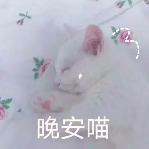 晚安上好祝福语句配图周末晚安语录
