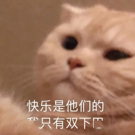 这些表情包送给假期长胖的你们