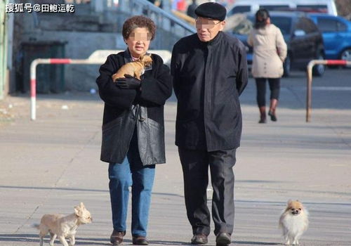 70岁的老年人每天走多少步合适每天做好3件事,身体更健康长寿