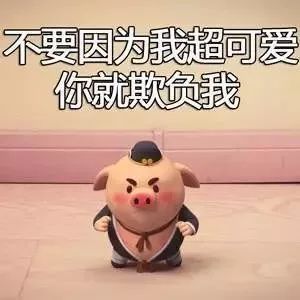 别再嫌弃猪了,这只土猪的生活水平,可能比你都好......