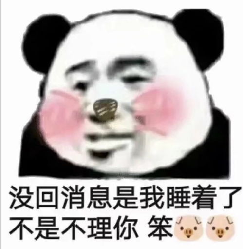 有没有超级适合发朋友圈的搞笑文案语录