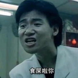 聊天表情包斗图微信表情包张学友表情包