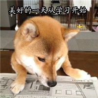 搞笑逗比柴犬之我爱学习柴犬搞笑带字表情包