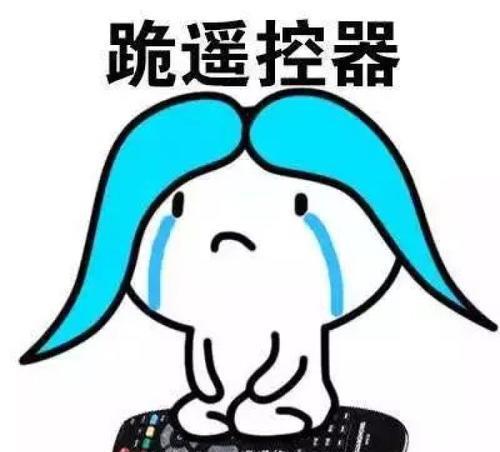 笑话老妈跟媳妇在包饺子,顺便看一个调解婆媳关系的电视节目