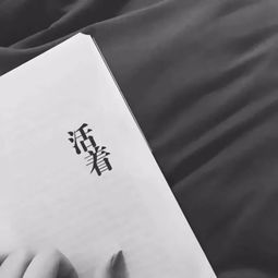 背景图朋友圈已装监控