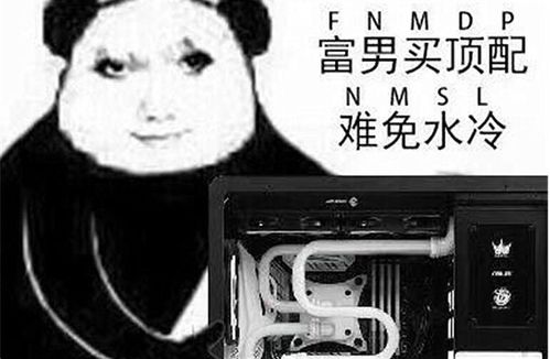 富男买顶配难免水冷什么梗