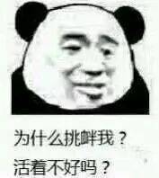 熊猫头骂人搞笑表情包