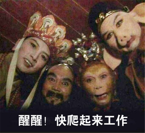 李晨四合院估值9亿,张雨绮每月房租27万明星到底有多壕