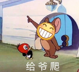 怼朋友专用的搞笑表情猪圈里最傻的就是你,小傻瓜