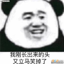 我也不知道我又不识字表情图片流下了没技术的泪水表情包下载乐游网游戏下载