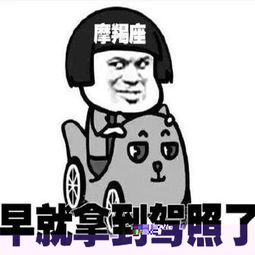 十二星座学车表情包大全12星座学车表情包经典搞笑