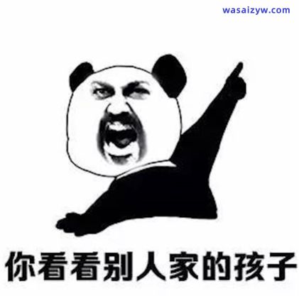 再来一波,半佛仙人老师的表情包