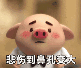 徽信表情动态搞笑图片猪小屁