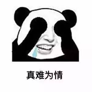 我要是有一天死了,一定是被自己蠢死的