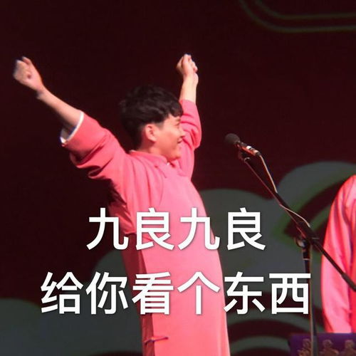 表情包系列第二期30张德云社搞笑图片