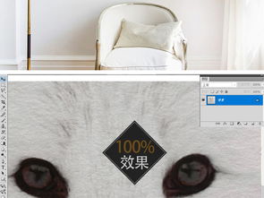 北欧简约文艺素雅白色小动物狼崽狗仔卡通艺术装饰画图片设计素材高清模板下载15.16mb小清新装饰画大全