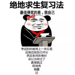 为了考试做的那些丧心病狂的准备