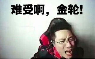 承包一年的笑点,这里可能是全网最大的表情包生产基地
