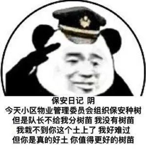 网上很火的保安日记舔狗日记是什么梗