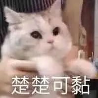 围笑的相册喵星人表情包