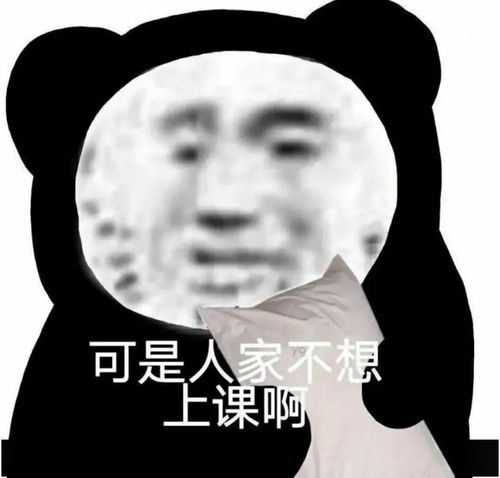 熊猫头表情包i承认吧你也为我着迷
