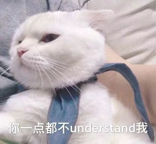相信我,换了这些头像,国庆长假好过多了