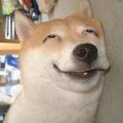 求这个柴犬表情包,要没有字的