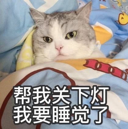 服装设计考研可以报考哪些院校,各大院校的排名和录取难度内含