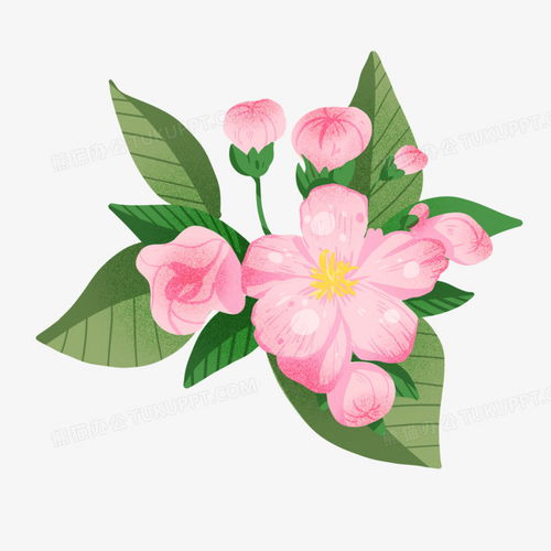 手绘粉色樱花树枝花朵元素png图片素材免费下载psd格式20482048像素熊猫办公